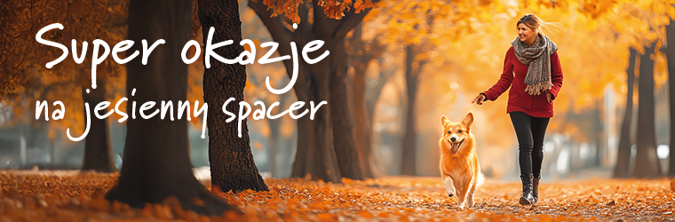 Super okazje na jesienny spacer kategoria zabawki