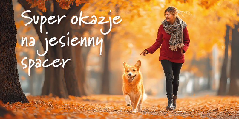 Super okazje na jesienny spacer baner glowny