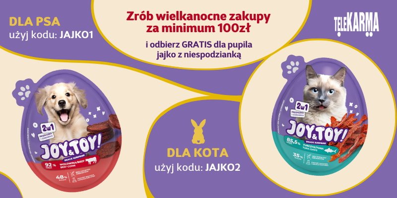 Joy and Toy gratis do zamówienia od 100zł