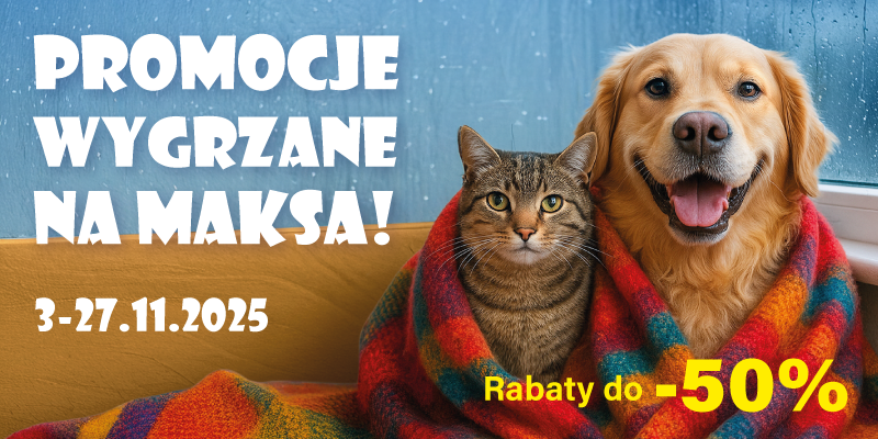 promocje listopadowe 2025 baner glowny