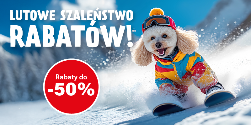 Lutowe Szalenstwo Rabatów 2026