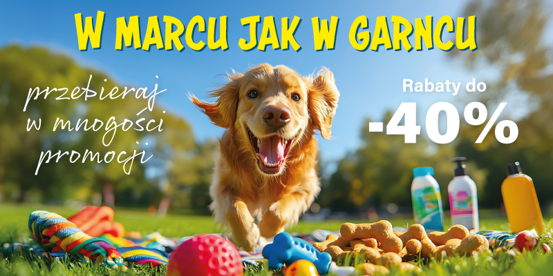 promocje marzec 2025