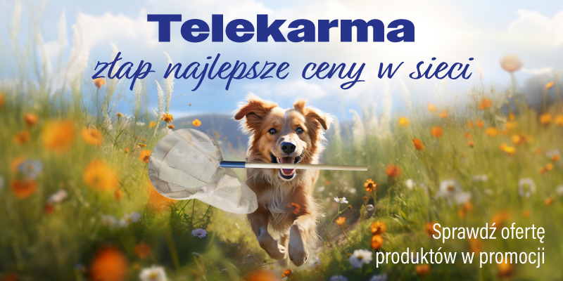 najlepsze ceny w sieci strona glowna