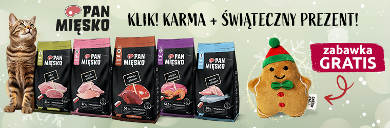 pan miesko kot+zabawka kat mokre