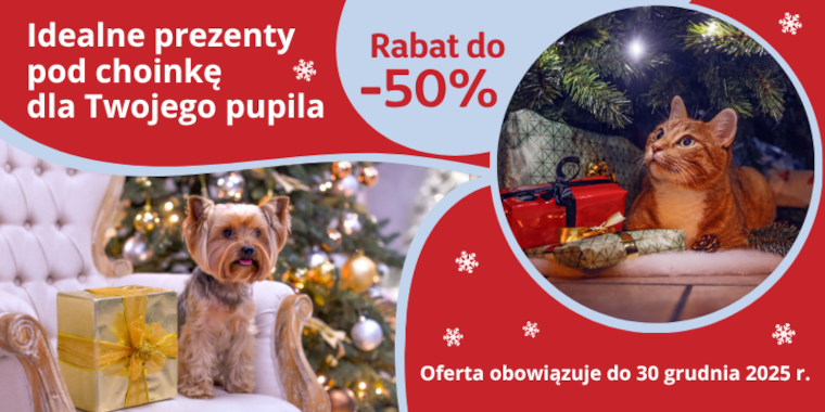 Idealne prezenty pod choinkę grudzień 2025