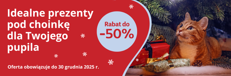 Idealne prezenty pod choinkę grudzień 25 kat kot suche