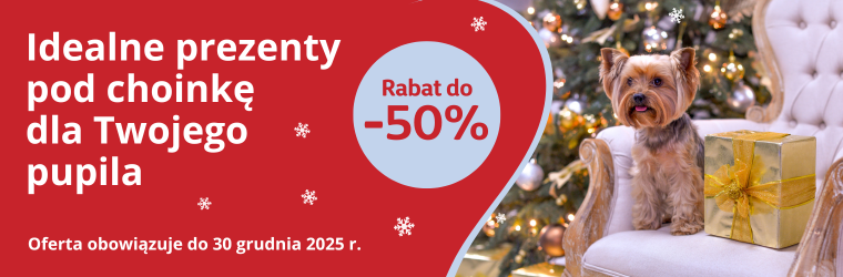 Idealne prezenty pod choinkę grudzień 25 kat pies suche