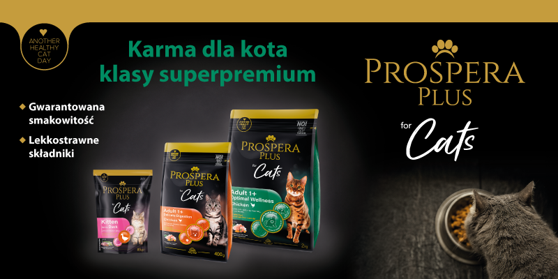 prospera dla kota baner glowny
