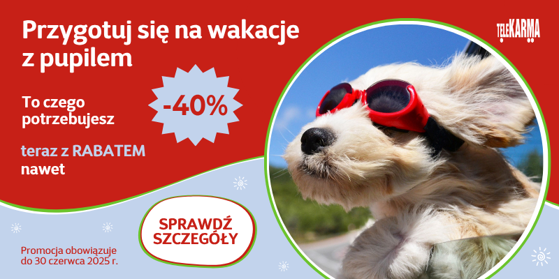 Przygotuj_sie_na_wakacje_2025