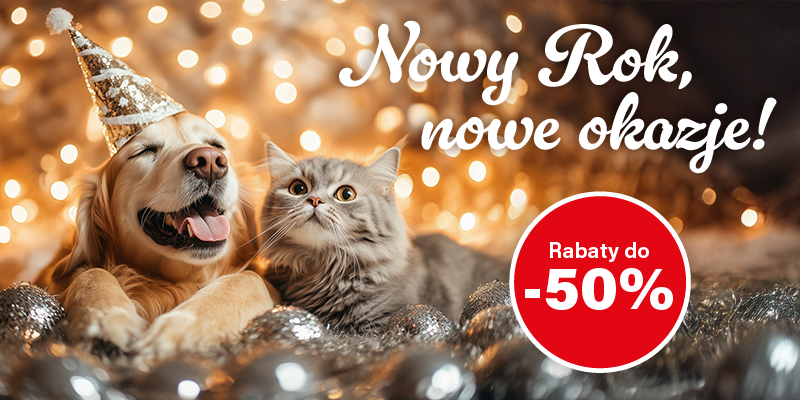 styczen 2026 promocje miesiaca baner glowny