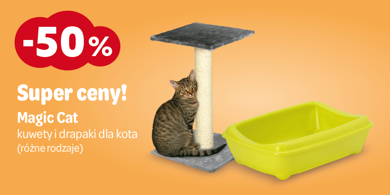 promocje listopadowe 2025 kuwety magic cat