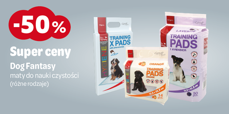 styczen 2026 dog fantasy maty