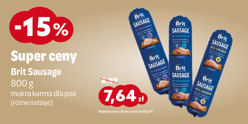 pazdziernik 2025 brit sausage -15