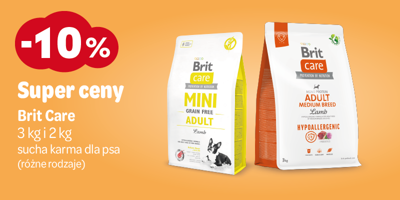 promocje listopadowe 2025 brit care pies suche