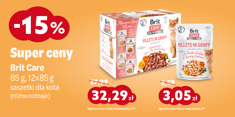 promocje listopadowe 2025 brit care mokra dla kota