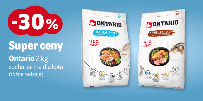 grudzien 2025 zabawki -30% ontario dla kota2kg