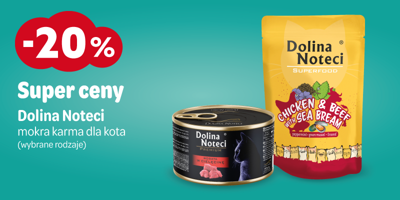 dolina noteci - 20 baner glowny