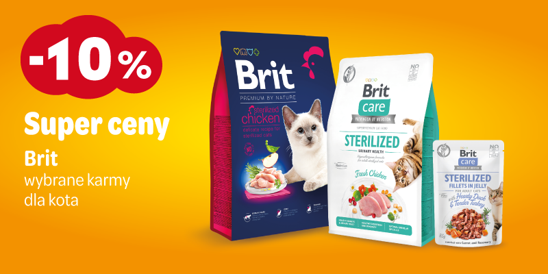 lipiec 2025 10% brit dla kota rozne