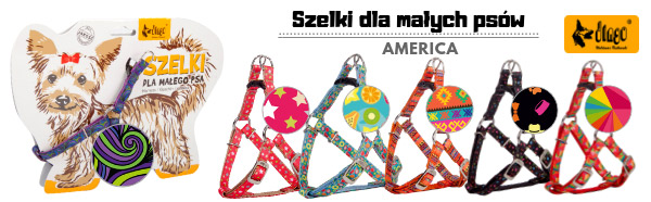 dingo szelki dla malych psow seria america