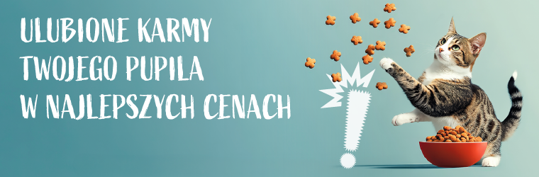 top 60 dla kota w super cenach kat zabawki