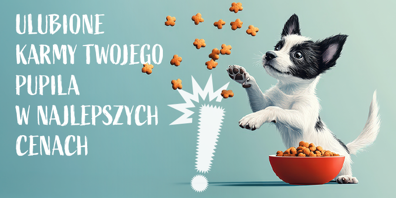 top 60 dla psa w super cenach