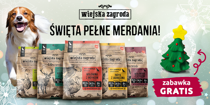 wiejska zagroda pies+zabawka baner glowny