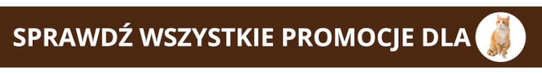 Wszystkie promocje dla kota 11-2025