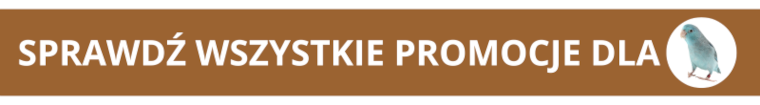 Wszystkie promocje dla ptaków 11-2025