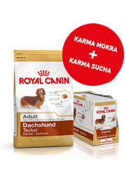 ROYAL CANIN BREED DACHSHUND ADULT ZESTAW ROYAL CANIN BREED DACHSHUND ADULT ZESTAW