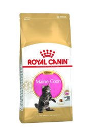 ROYAL CANIN FELINE KITTEN MAINE COON 36 ROYAL CANIN FELINE KITTEN MAINE COON 36
