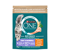 PURINA ONE COAT / HAIRBALL KARMA DLA KOTA z kurczakiem