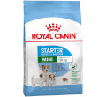 ROYAL CANIN MINI STARTER MOTHER / BABYDOG