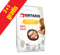 ONTARIO CAT EXIGENT KARMA DLA KOTA