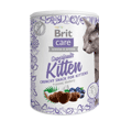 BRIT CARE CAT SNACK SUPERFRUITS PRZYSMAK DLA KOCIĄT