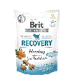 BRIT CARE FUNCTIONAL SNACK RECOVERY PRZYSMAKI DLA PSA regeneracja