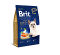 BRIT PREMIUM CAT ADULT SALMON KARMA DLA KOTA