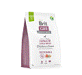 BRIT CARE SUSTAINABLE JUNIOR LARGE CHICKEN INSECT KARMA DLA SZCZENIAKA