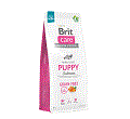 BRIT CARE GRAIN FREE PUPPY SALMON KARMA DLA SZCZENIAKA