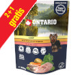 ONTARIO KARP Z WARZYWAMI W BULIONIE KARMA DLA PSA