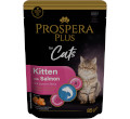 PROSPERA PLUS KITTEN MOKRA KARMA DLA KOTA z łososiem i marchewką