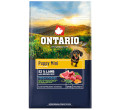 ONTARIO PUPPY MINI LAMB AND BROWN RICE KARMA HYPOALERGICZNA DLA SZCZENIĄT RAS MAŁYCH