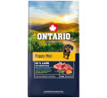 ONTARIO PUPPY MINI LAMB AND BROWN RICE KARMA HYPOALERGICZNA DLA SZCZENIĄT RAS MAŁYCH