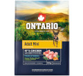ONTARIO ADULT MINI CHICKEN and SWEET POTATOES KARMA DLA PSÓW RAS MAŁYCH