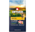 ONTARIO ADULT MINI CHICKEN and SWEET POTATOES KARMA DLA PSÓW RAS MAŁYCH