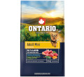 ONTARIO ADULT MINI LAMB AND BROWN RICE KARMA DLA DOROSŁYCH PSÓW RAS MAŁYCH