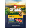 ONTARIO ADULT MINI LAMB AND BROWN RICE KARMA DLA DOROSŁYCH PSÓW RAS MAŁYCH