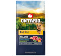 ONTARIO ADULT MINI LAMB AND BROWN RICE KARMA DLA DOROSŁYCH PSÓW RAS MAŁYCH