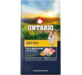ONTARIO ADULT MINI FISH AND BROWN RICE KARMA DLA PSÓW RAS MAŁYCH