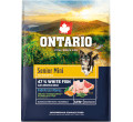 ONTARIO SENIOR MINI FISH AND BROWN RICE KARMA DLA PSÓW RAS MAŁYCH