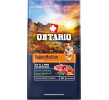 ONTARIO PUPPY MEDIUM LAMB AND BROWN RICE KARMA HYPOALERGICZNA DLA SZCZENIĄT RAS ŚREDNICH